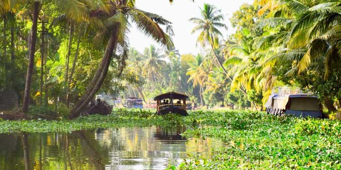 5 Möglichkeiten, Um Ihre Alleppey-reise Im Jahr 2020 Zu Verjüngen